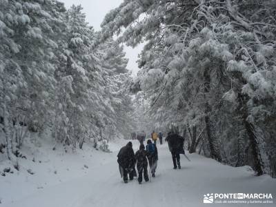 Valle de Iruelas - Pozo de nieve - Cerro de la Encinilla; senderismo nivel medio